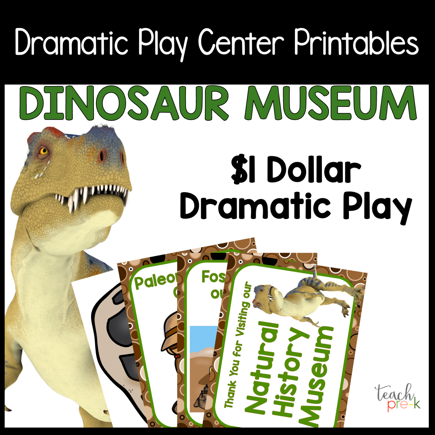 Dinosaur Museum Dramatic Play Set