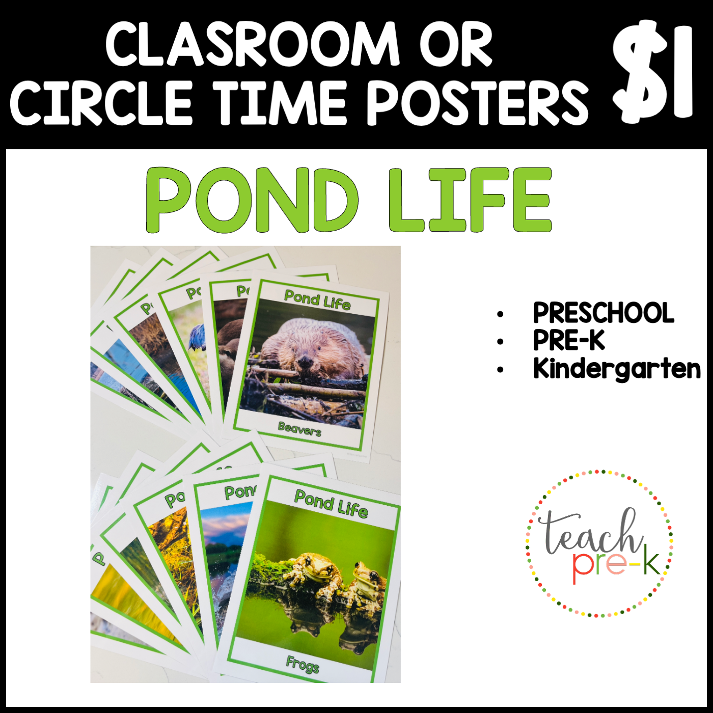 Pond Life Classroom Posters