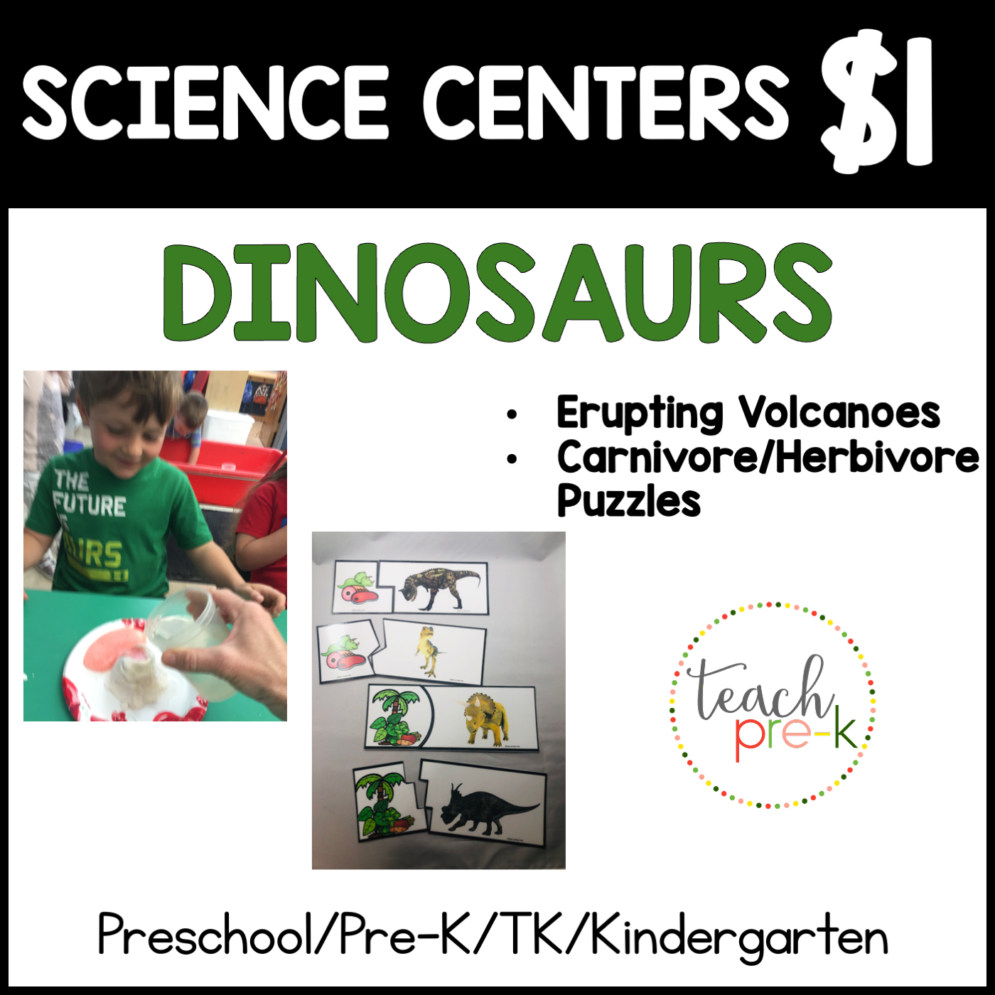 Dinosaur Science Centers/Exploding Volcanoes, & Carnivore/Herbivore 2-Part Puzzles