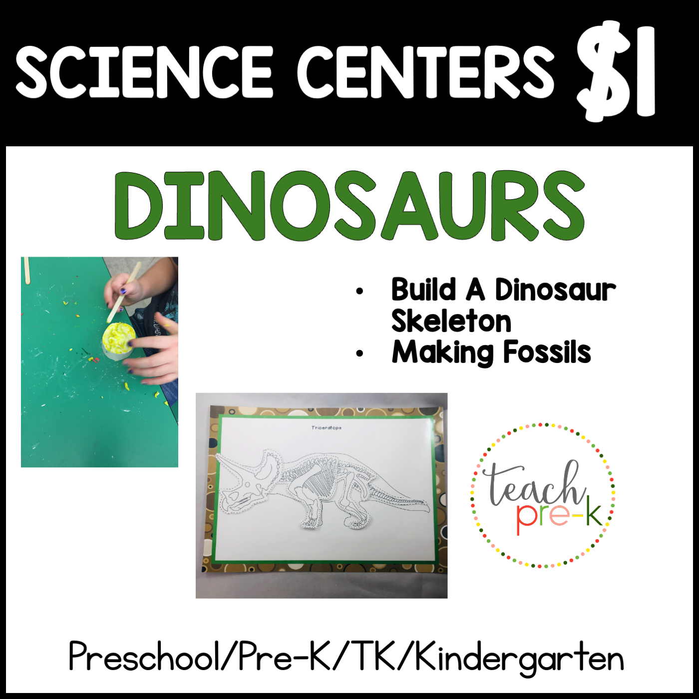 Dinosaur Science Centers/Make a Fossil, & Build Dinosaur Skeletons