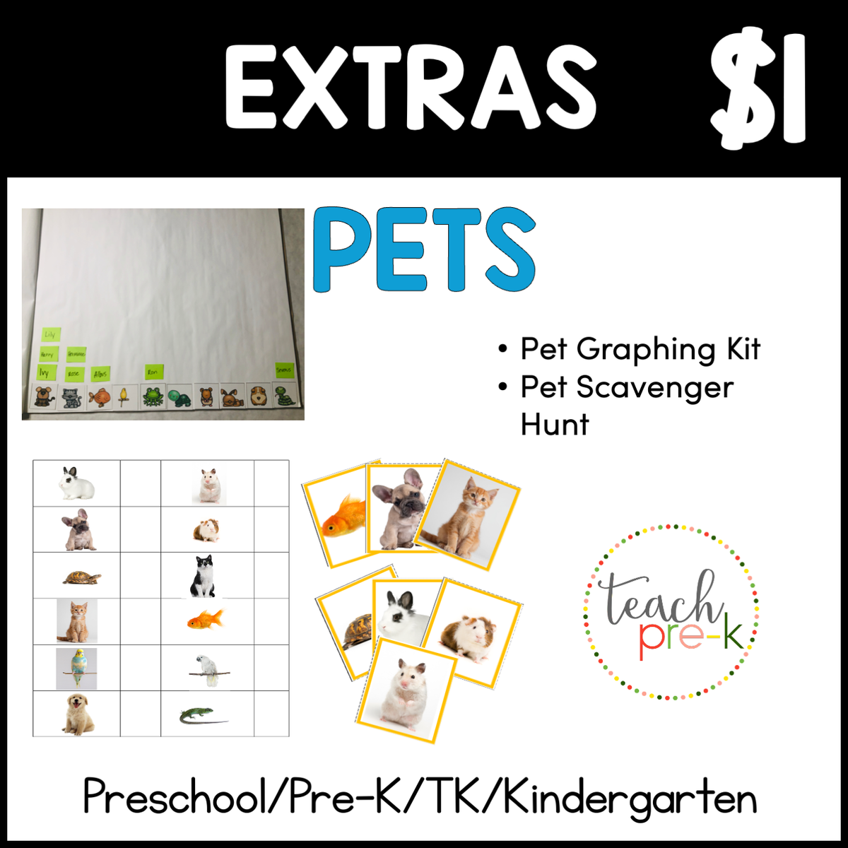 Pets Fun Centers: Graphing Kit & Pet Scavenger Hunt Kit