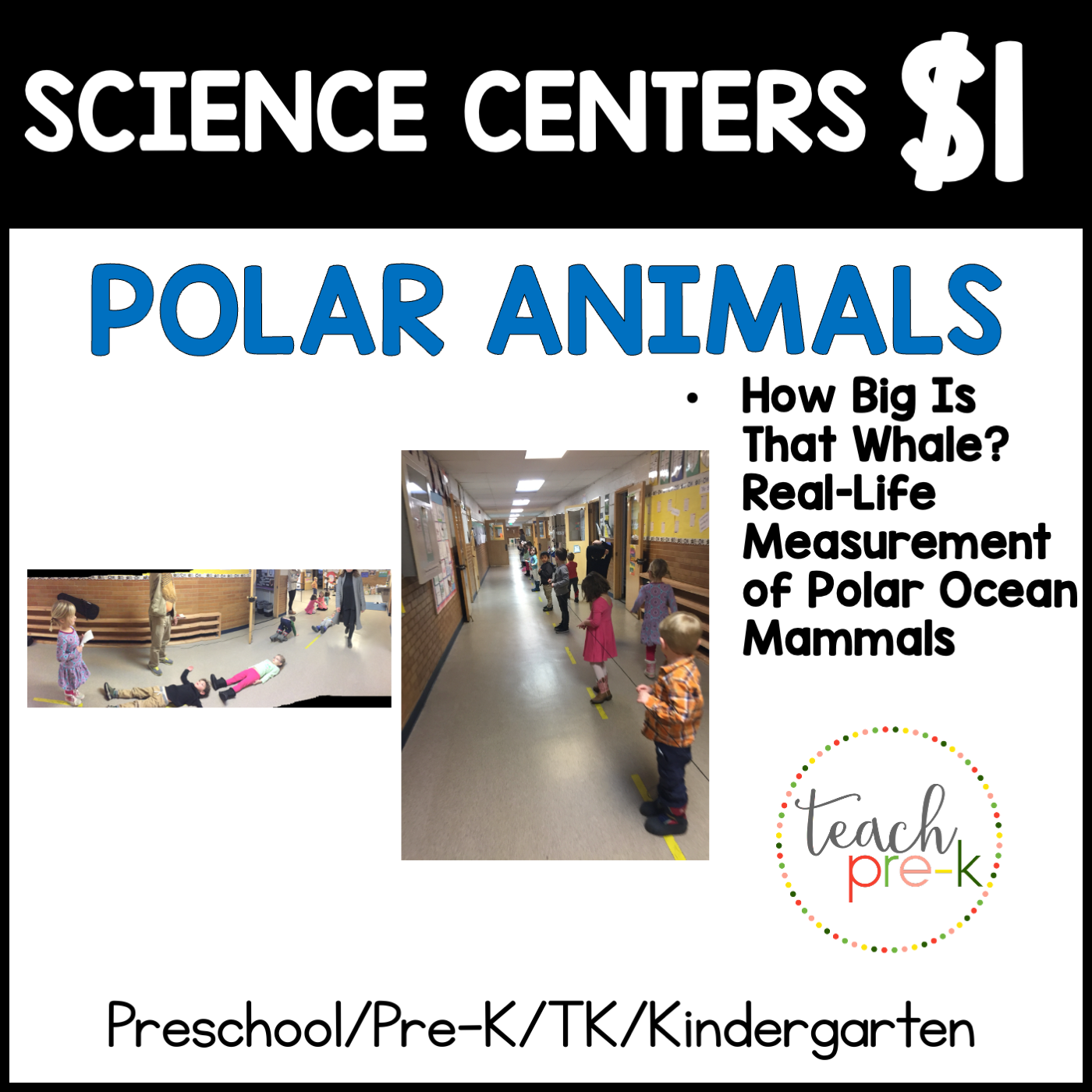 Polar Animals Science Center/How Big is That Whale