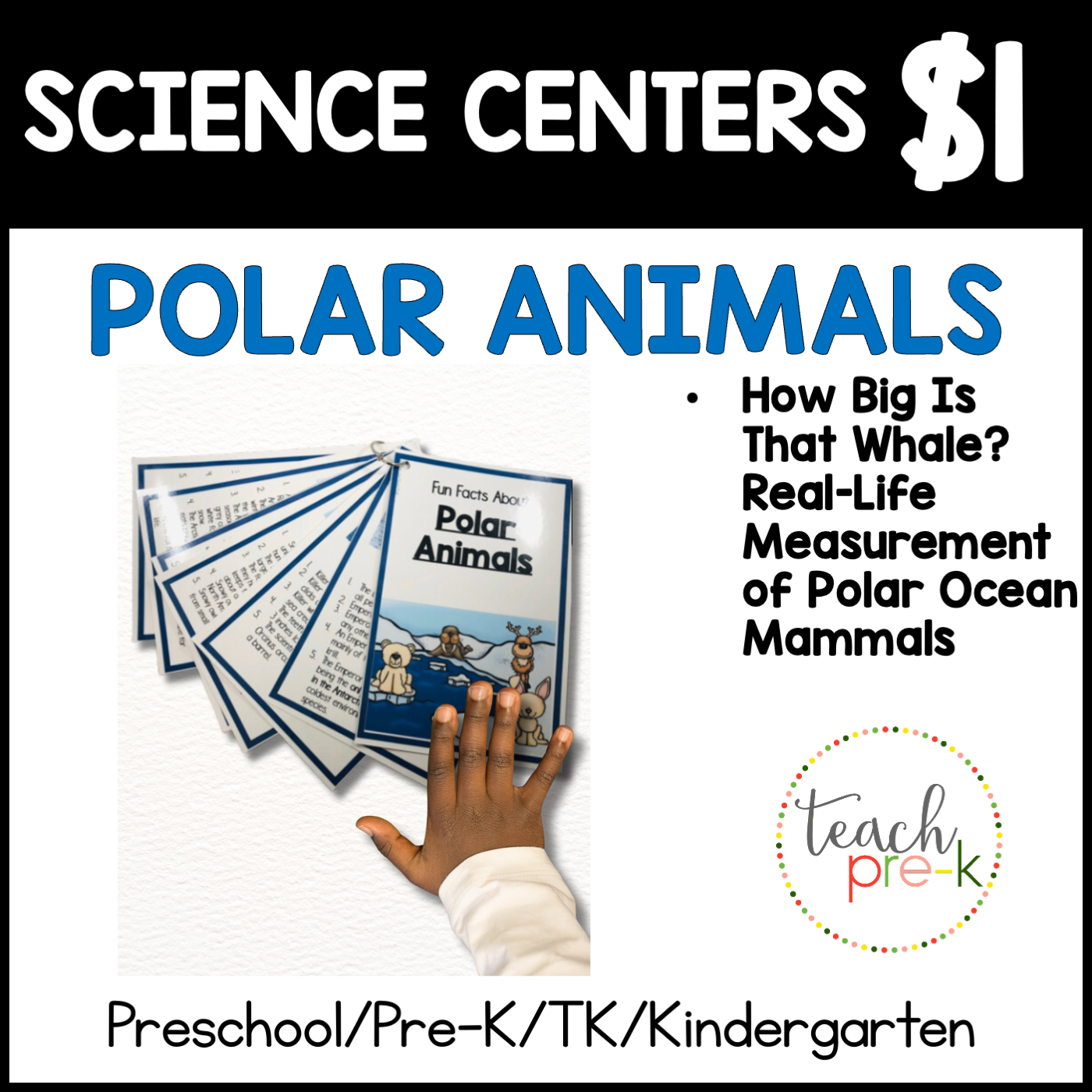 Polar Animals Science Center/Animal Fact Cards