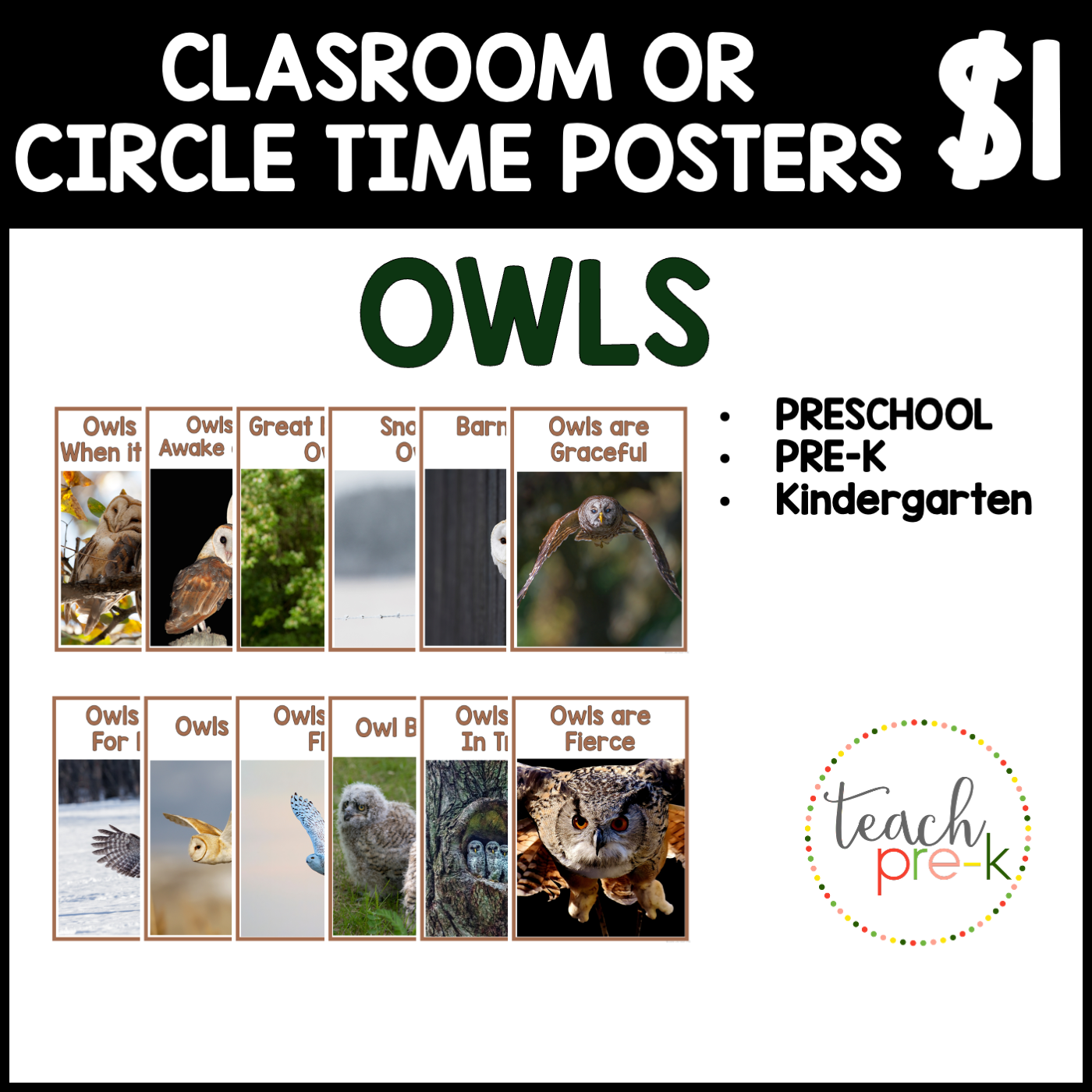 Forest Animals Poster Set/Owls
