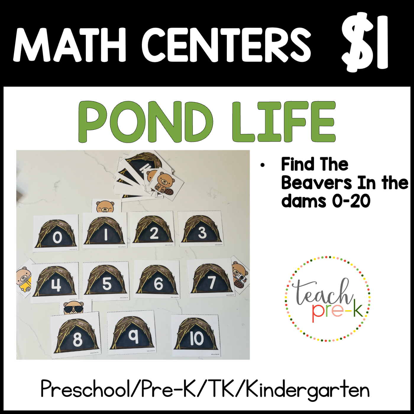 Pond Life Math Centers/Find the Beaver in the Dam